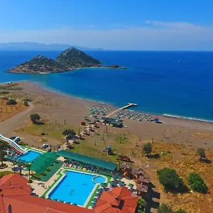 book here